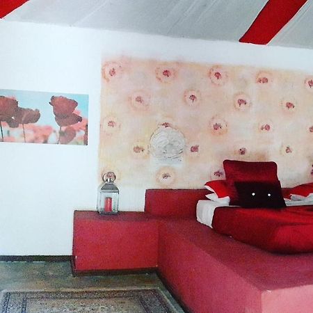 Gecko Nature Lodge Home Of Swahili Divers The Best Dive Center And Famous Gecko Restaurant Verani Eksteriør billede