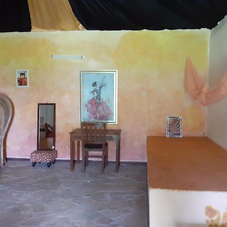 Gecko Nature Lodge Home Of Swahili Divers The Best Dive Center And Famous Gecko Restaurant Verani Eksteriør billede