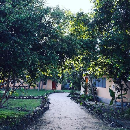 Gecko Nature Lodge Home Of Swahili Divers The Best Dive Center And Famous Gecko Restaurant Verani Eksteriør billede