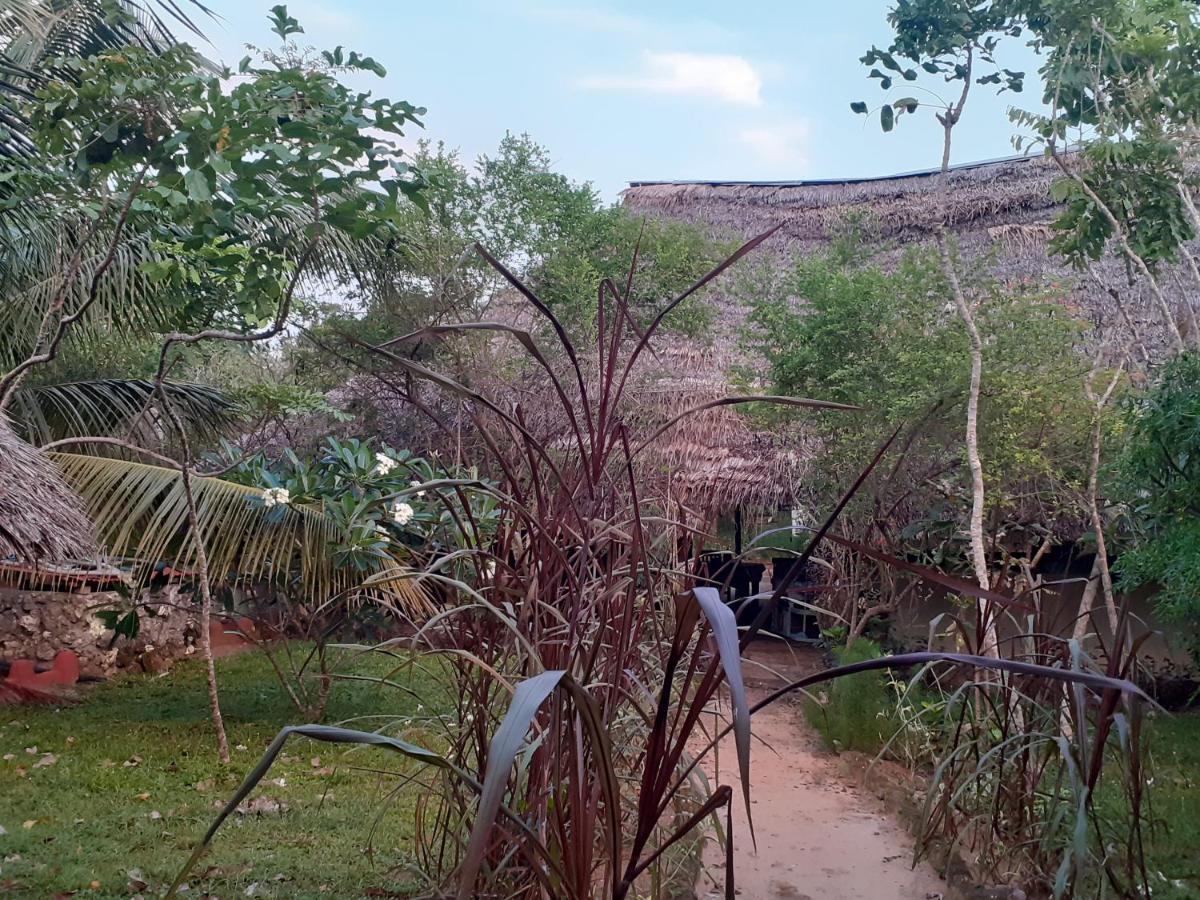 Gecko Nature Lodge Home Of Swahili Divers The Best Dive Center And Famous Gecko Restaurant Verani Eksteriør billede