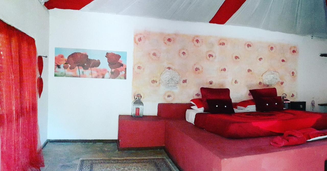 Gecko Nature Lodge Home Of Swahili Divers The Best Dive Center And Famous Gecko Restaurant Verani Eksteriør billede