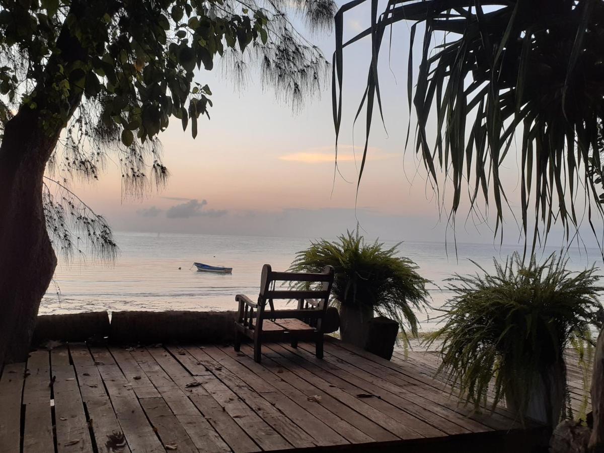 Gecko Nature Lodge Home Of Swahili Divers The Best Dive Center And Famous Gecko Restaurant Verani Eksteriør billede