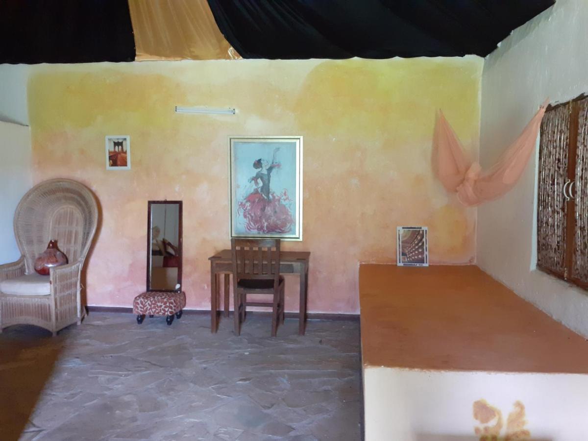 Gecko Nature Lodge Home Of Swahili Divers The Best Dive Center And Famous Gecko Restaurant Verani Eksteriør billede
