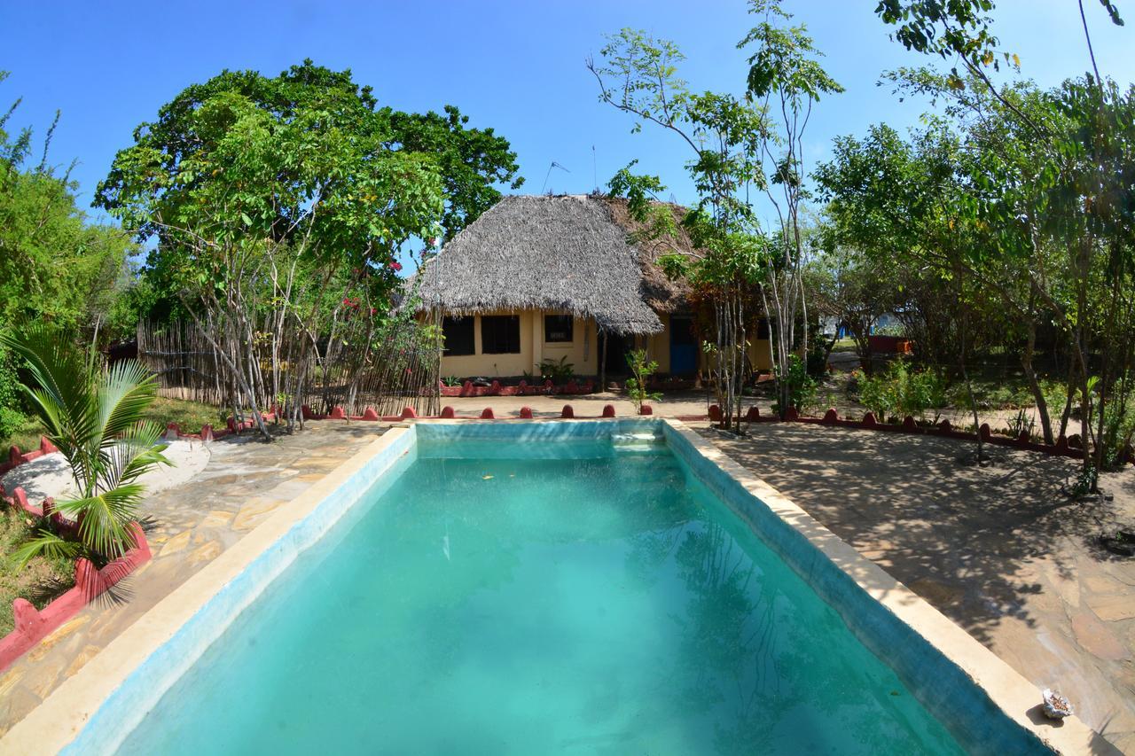 Gecko Nature Lodge Home Of Swahili Divers The Best Dive Center And Famous Gecko Restaurant Verani Eksteriør billede