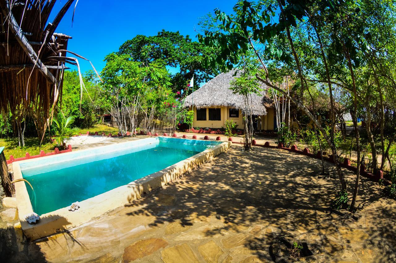 Gecko Nature Lodge Home Of Swahili Divers The Best Dive Center And Famous Gecko Restaurant Verani Eksteriør billede