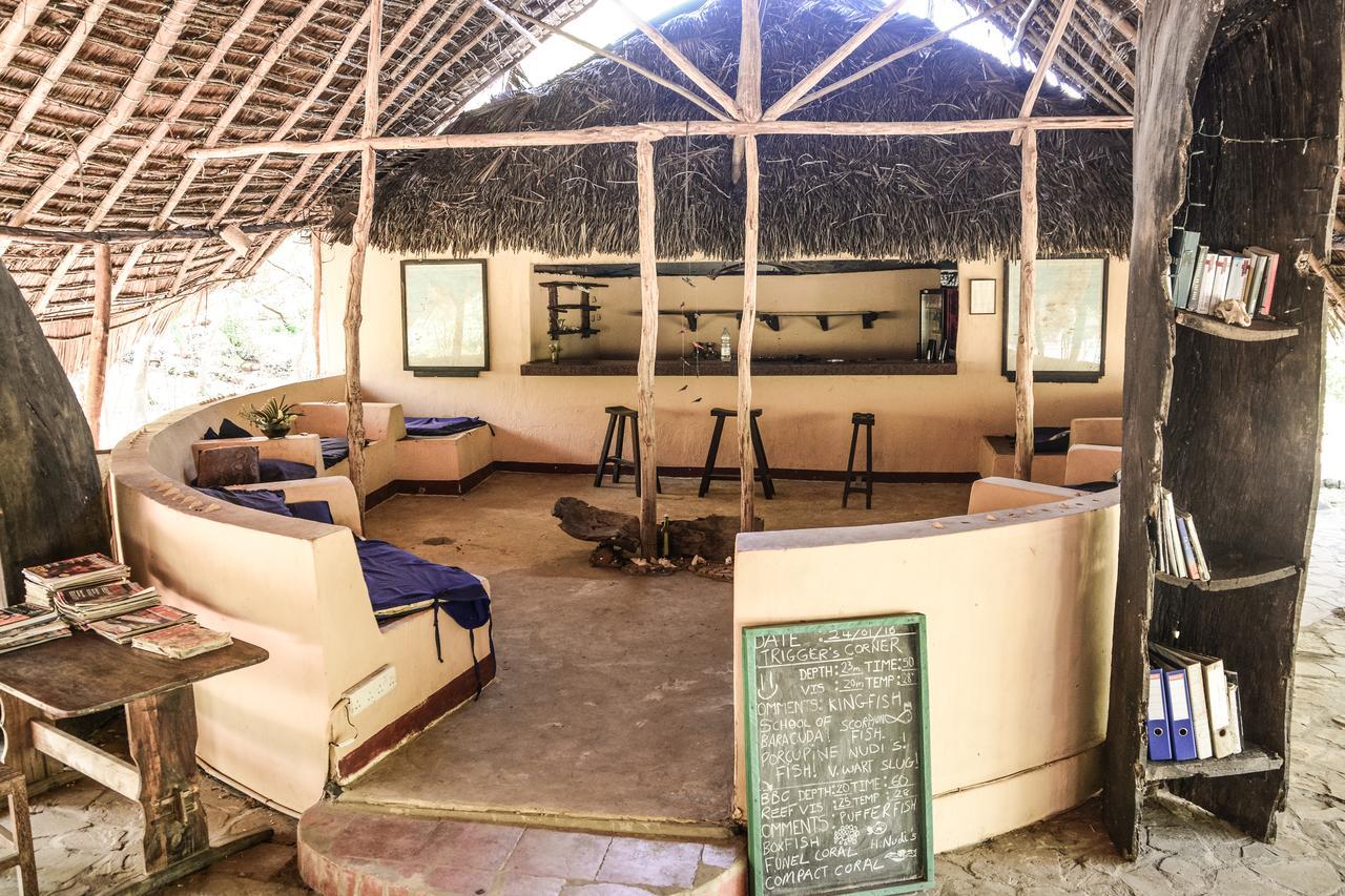 Gecko Nature Lodge Home Of Swahili Divers The Best Dive Center And Famous Gecko Restaurant Verani Eksteriør billede