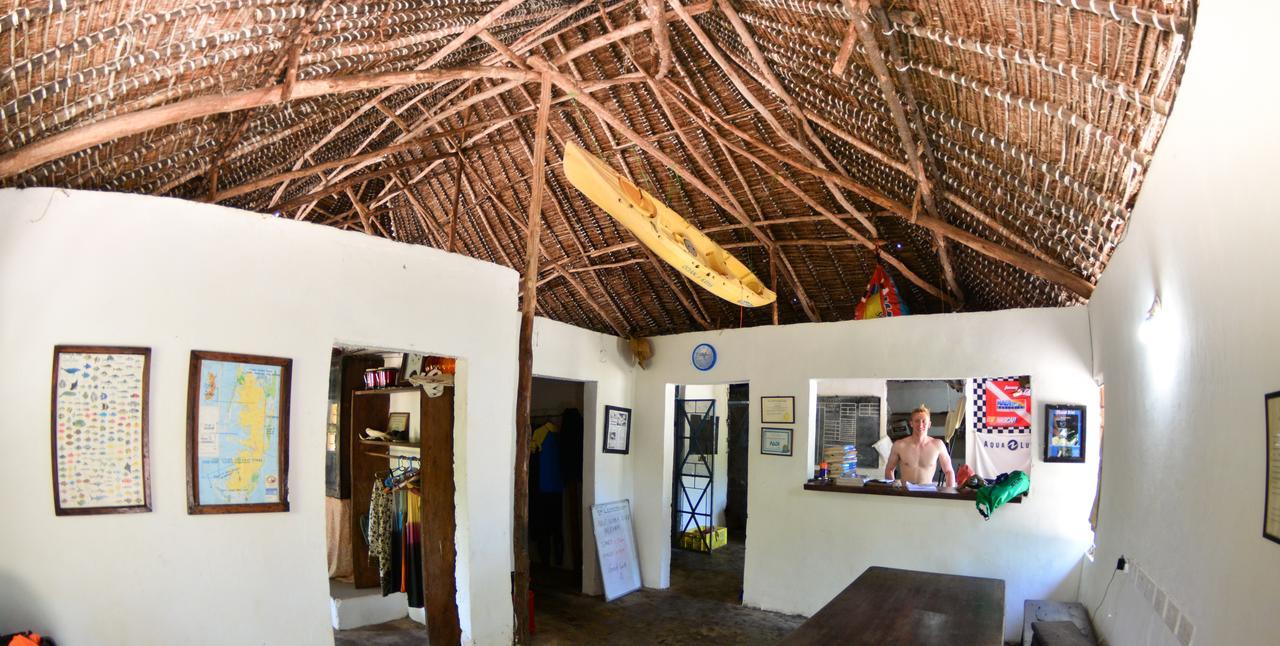 Gecko Nature Lodge Home Of Swahili Divers The Best Dive Center And Famous Gecko Restaurant Verani Eksteriør billede