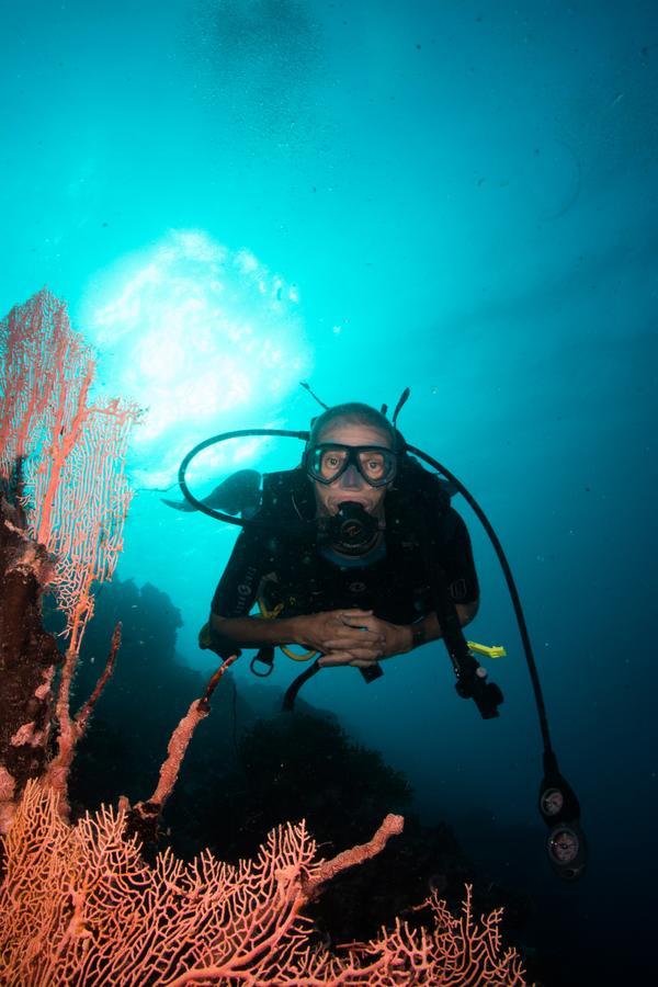 Gecko Nature Lodge Home Of Swahili Divers The Best Dive Center And Famous Gecko Restaurant Verani Eksteriør billede