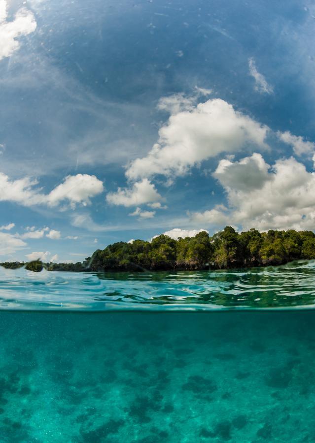 Gecko Nature Lodge Home Of Swahili Divers The Best Dive Center And Famous Gecko Restaurant Verani Eksteriør billede