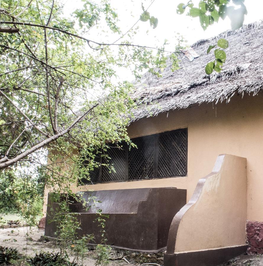 Gecko Nature Lodge Home Of Swahili Divers The Best Dive Center And Famous Gecko Restaurant Verani Eksteriør billede