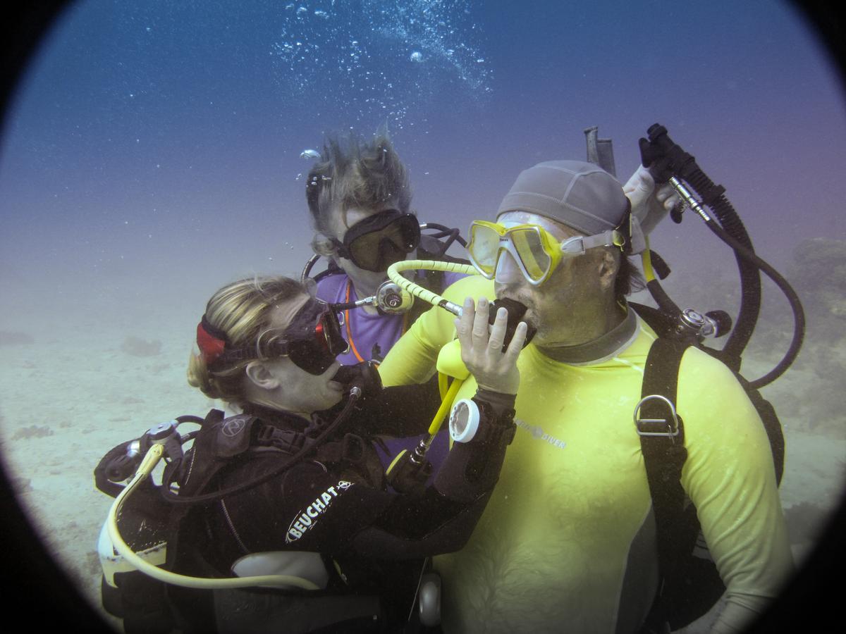 Gecko Nature Lodge Home Of Swahili Divers The Best Dive Center And Famous Gecko Restaurant Verani Eksteriør billede