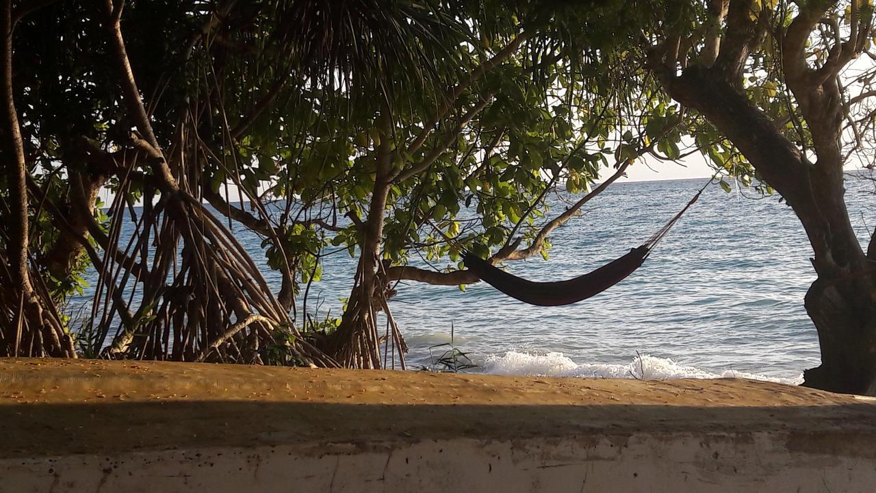 Gecko Nature Lodge Home Of Swahili Divers The Best Dive Center And Famous Gecko Restaurant Verani Eksteriør billede