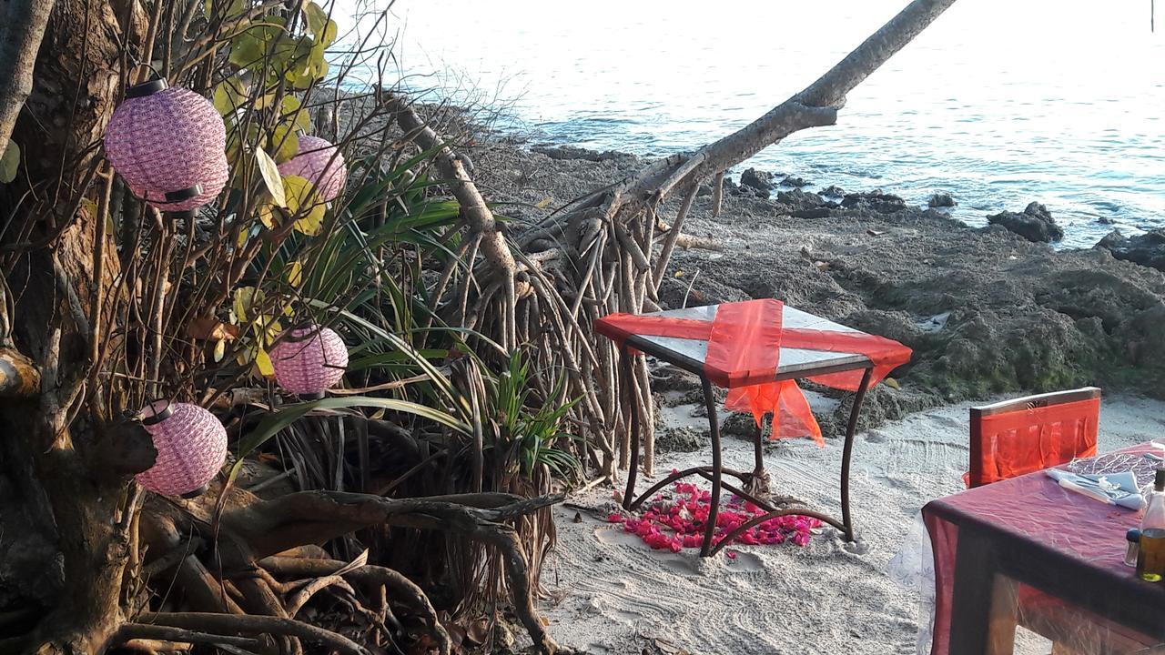Gecko Nature Lodge Home Of Swahili Divers The Best Dive Center And Famous Gecko Restaurant Verani Eksteriør billede