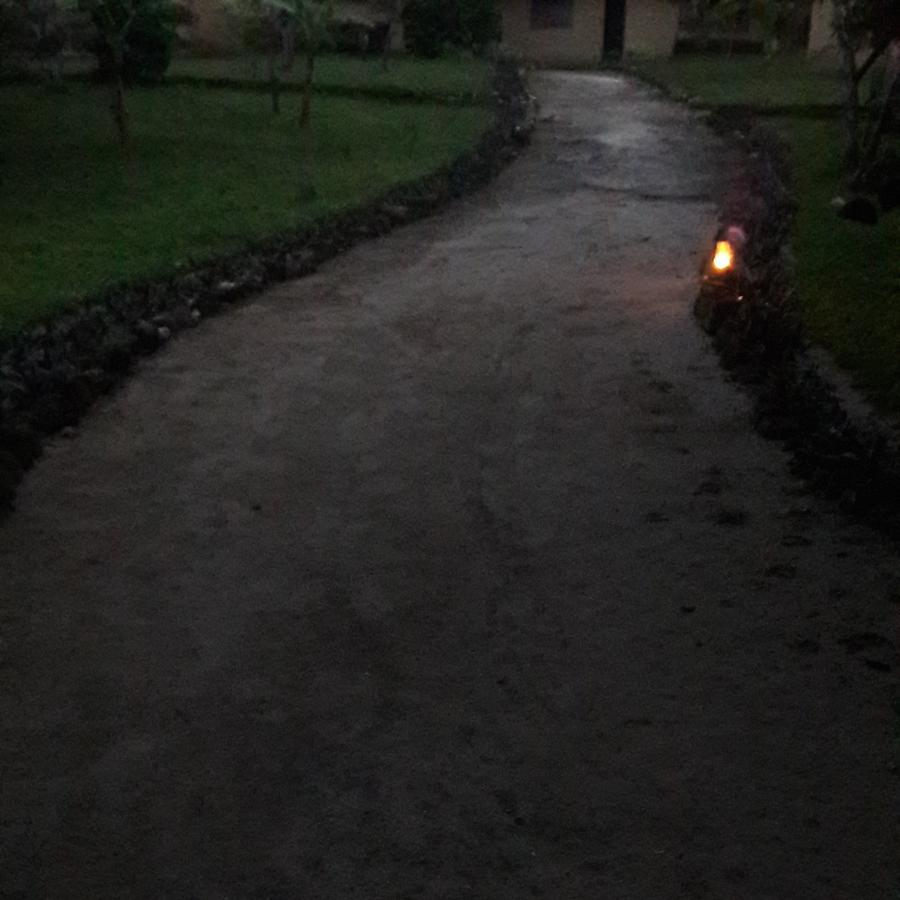 Gecko Nature Lodge Home Of Swahili Divers The Best Dive Center And Famous Gecko Restaurant Verani Eksteriør billede