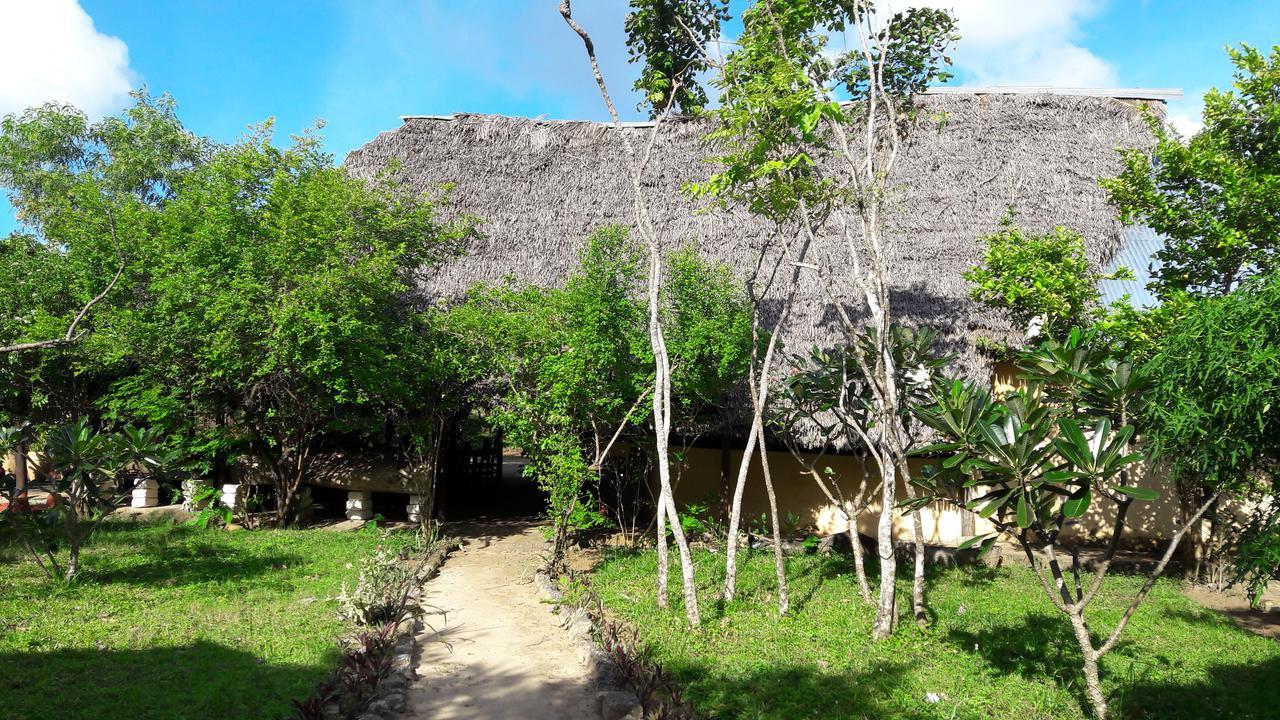 Gecko Nature Lodge Home Of Swahili Divers The Best Dive Center And Famous Gecko Restaurant Verani Eksteriør billede
