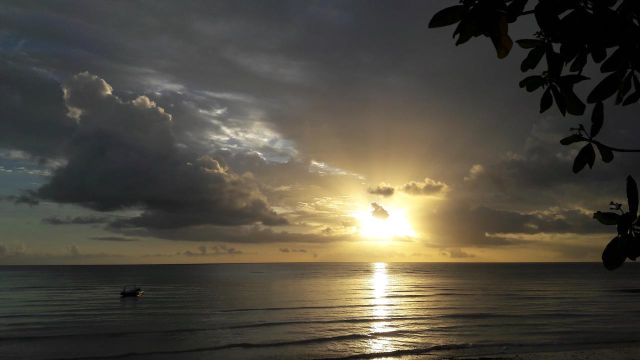 Gecko Nature Lodge Home Of Swahili Divers The Best Dive Center And Famous Gecko Restaurant Verani Eksteriør billede
