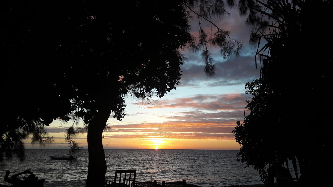 Gecko Nature Lodge Home Of Swahili Divers The Best Dive Center And Famous Gecko Restaurant Verani Eksteriør billede