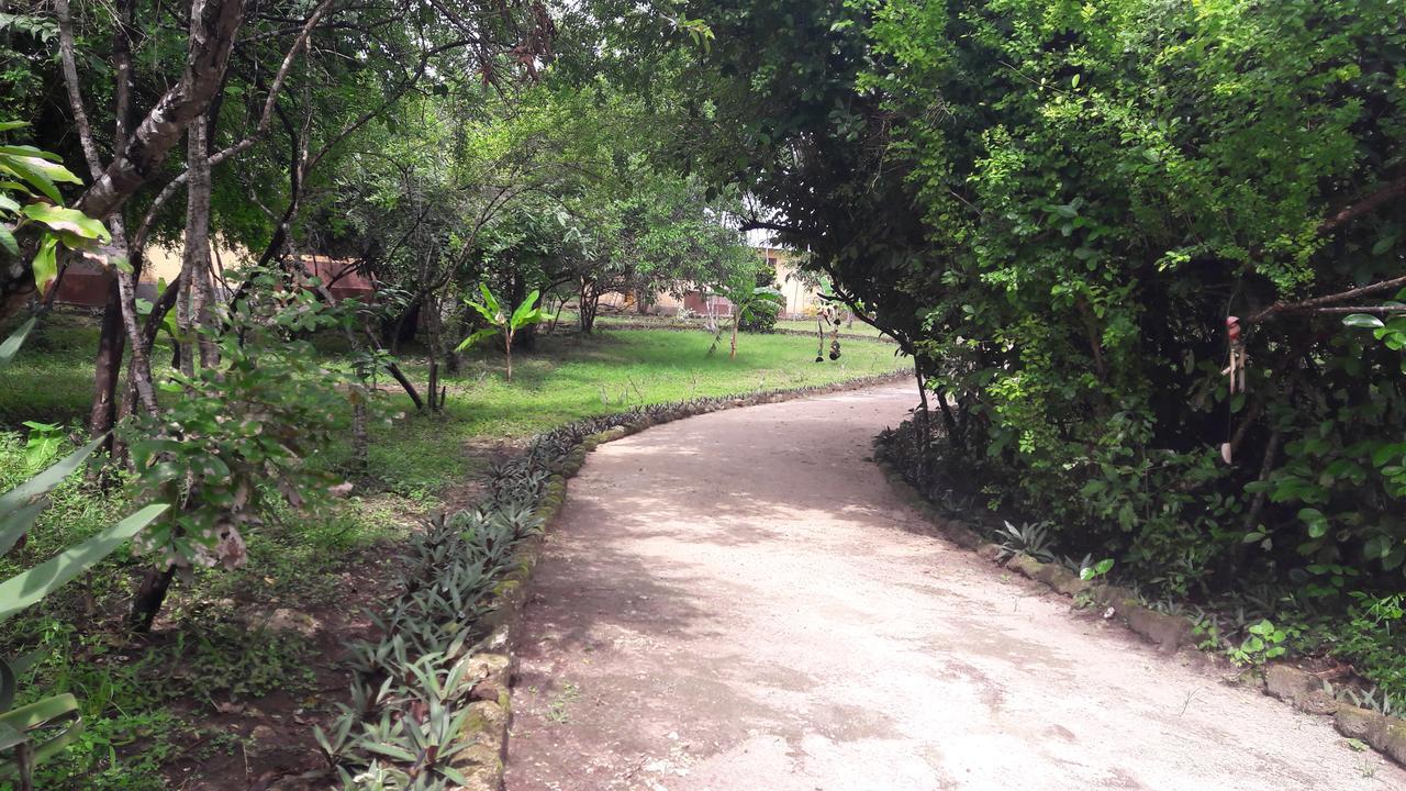 Gecko Nature Lodge Home Of Swahili Divers The Best Dive Center And Famous Gecko Restaurant Verani Eksteriør billede