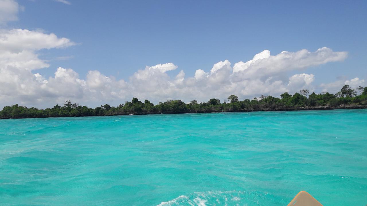 Gecko Nature Lodge Home Of Swahili Divers The Best Dive Center And Famous Gecko Restaurant Verani Eksteriør billede