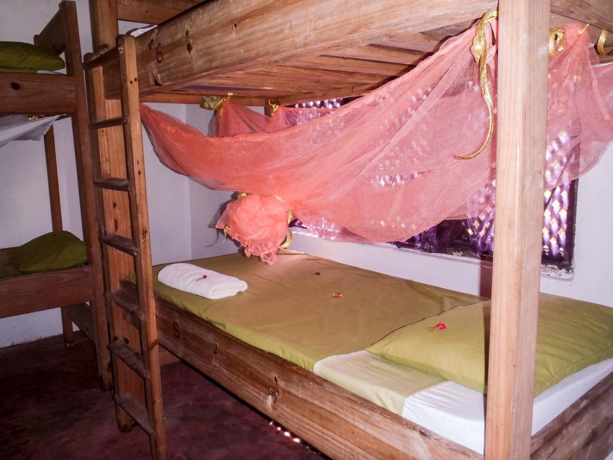 Gecko Nature Lodge Home Of Swahili Divers The Best Dive Center And Famous Gecko Restaurant Verani Eksteriør billede