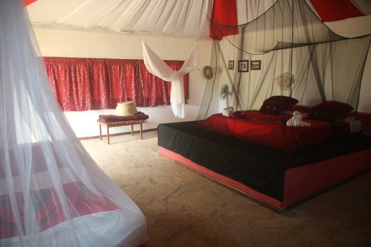 Gecko Nature Lodge Home Of Swahili Divers The Best Dive Center And Famous Gecko Restaurant Verani Eksteriør billede
